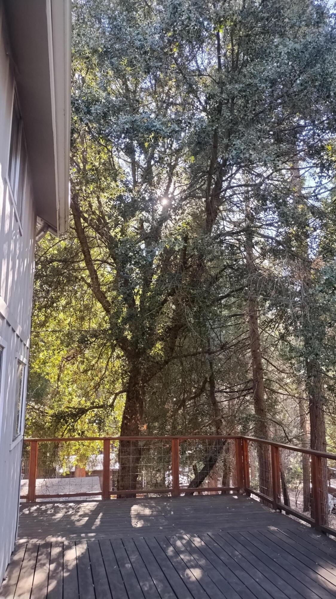 594 Loop Drive Springville, CA 93265 - Photo 50 of 68 50.5-Oak tree by front deck corner
