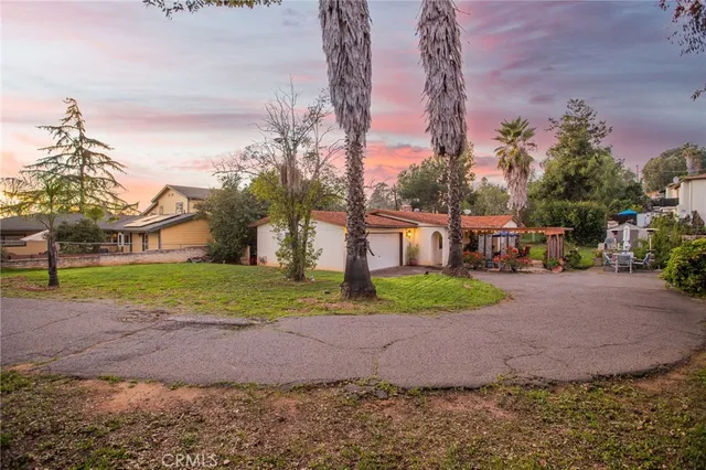 a view of a park with large trees