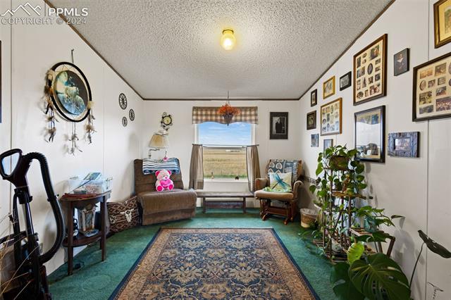 36015 Corona Road Yoder, CO 80864 - Photo 19 of 27 Sitting room with carpet floors, a textured ceiling, lofted ceiling, and a chandelier
