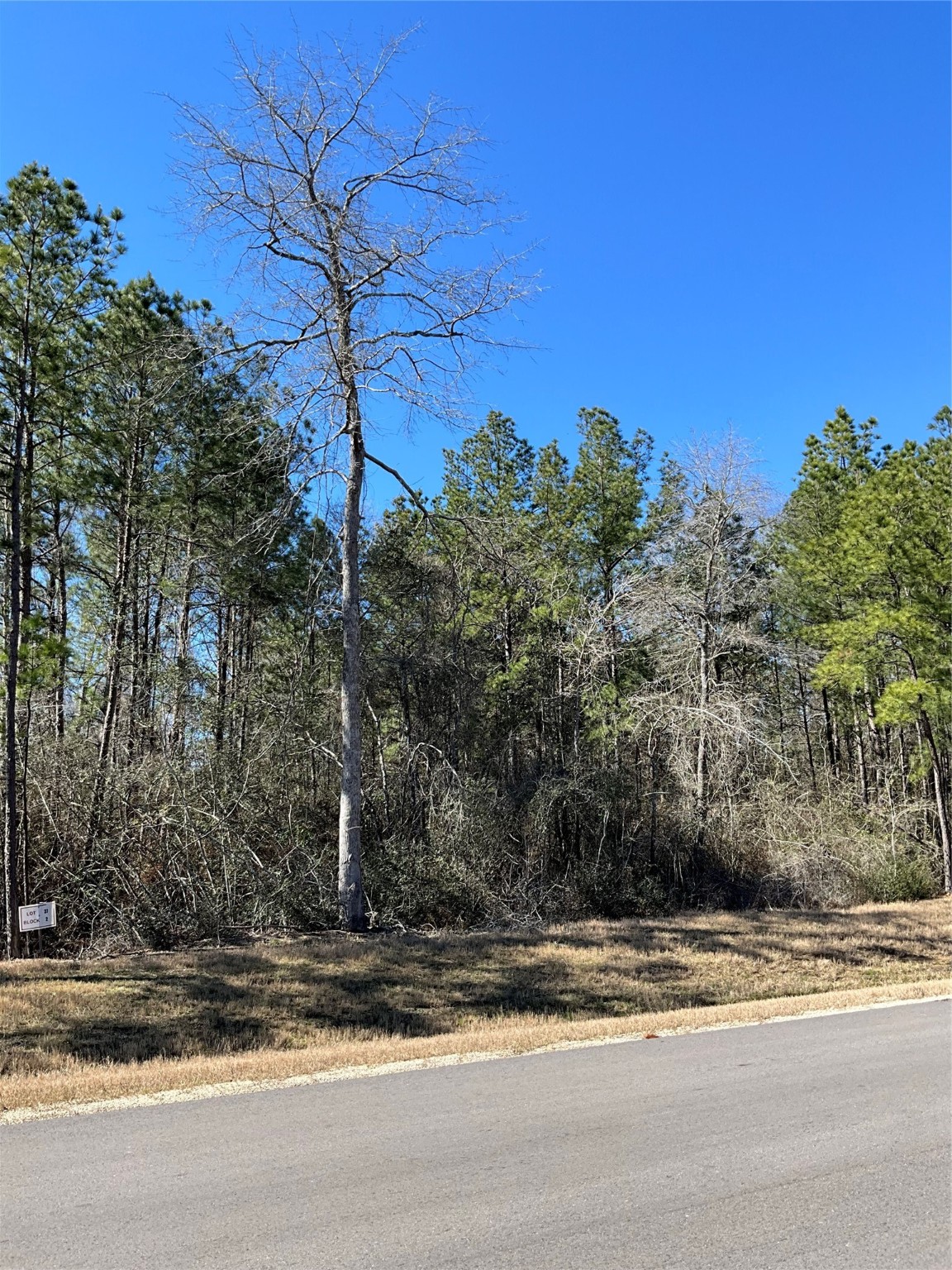 341 Exploration Road New Waverly, TX 77358 - Photo 2 of 6