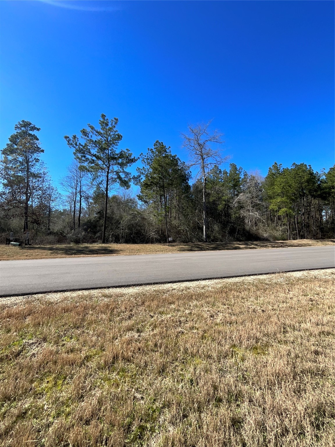 341 Exploration Road New Waverly, TX 77358 - Photo 5 of 6