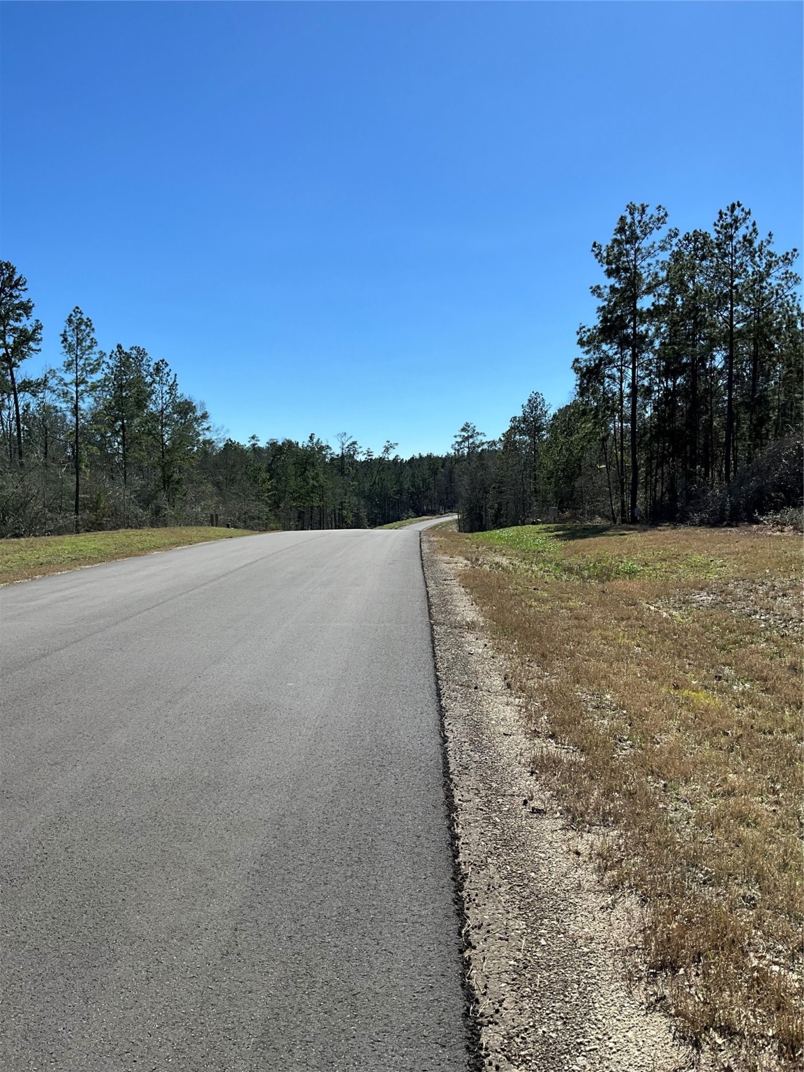 341 Exploration Road New Waverly, TX 77358 - Photo 6 of 6