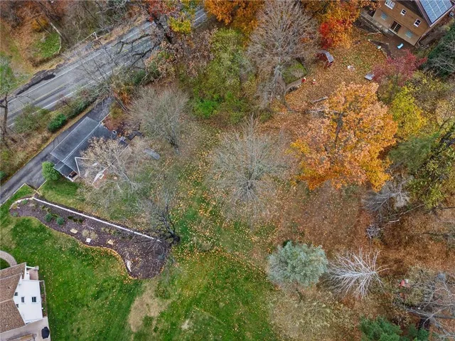 a view of a yard with plants and wooden fence