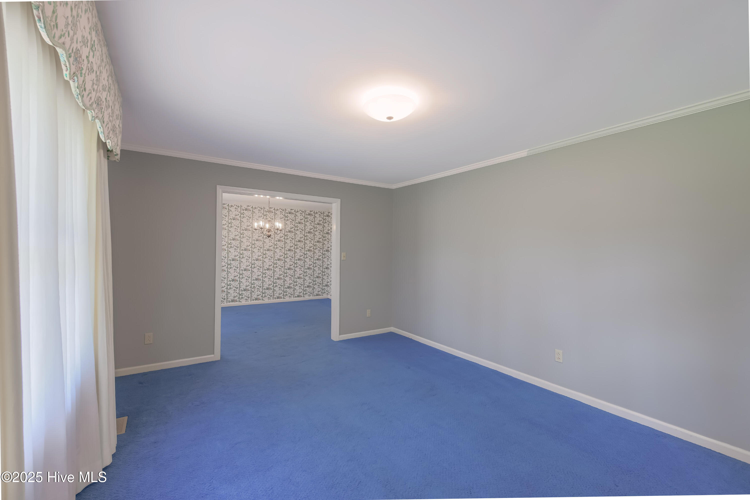 329 C R Edwards Road Beulaville, NC 28518 - Photo 13 of 51 _K6A4659 (Custom)