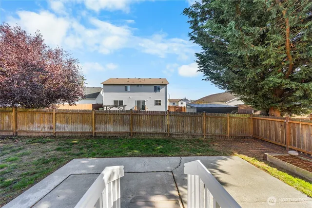 a view of a backyard with large trees