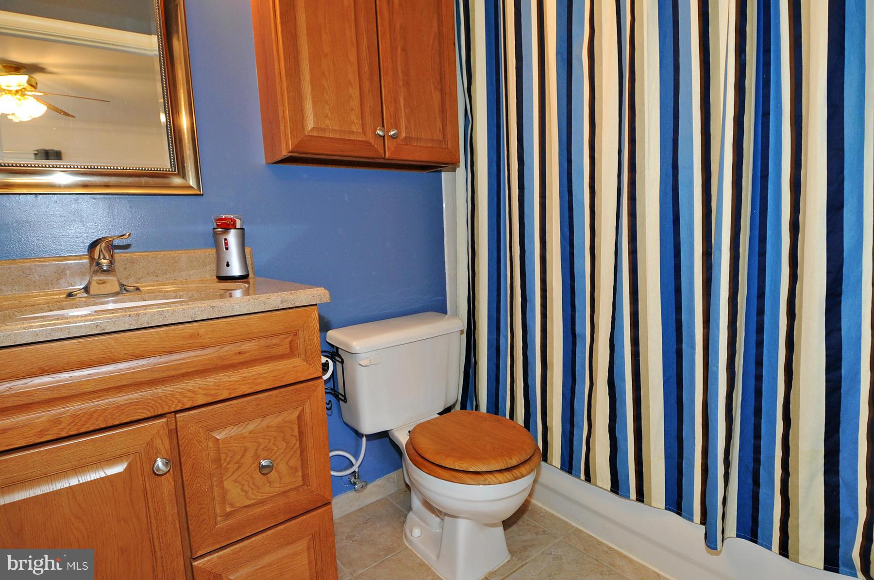 9313 Farewell Road Columbia, MD 21045 - Photo 21 of 24 Bath (Master)