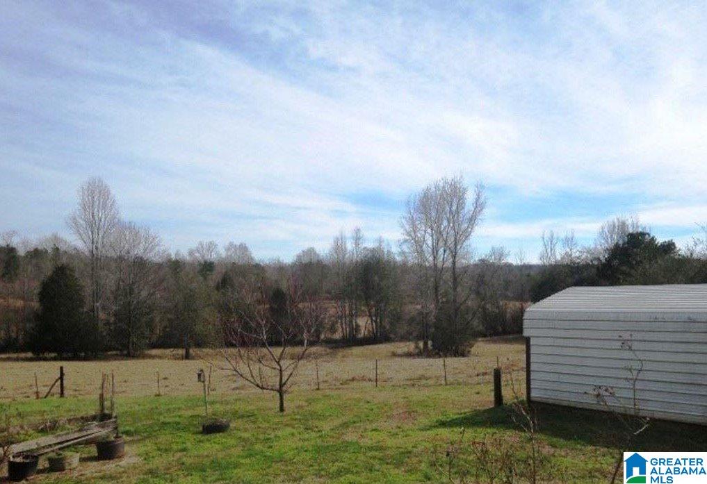 853 Bailey Road Cragford, AL 36255 - Photo 29 of 39