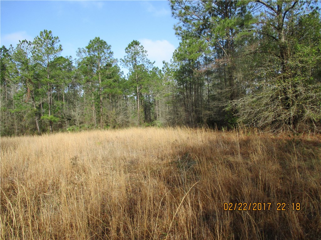 Braddock Road Callahan, FL 32011 - Photo 3 of 11 Gallery Image 3