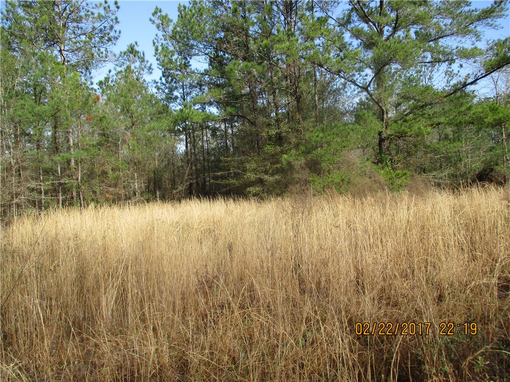 Braddock Road Callahan, FL 32011 - Photo 4 of 11 Gallery Image 4