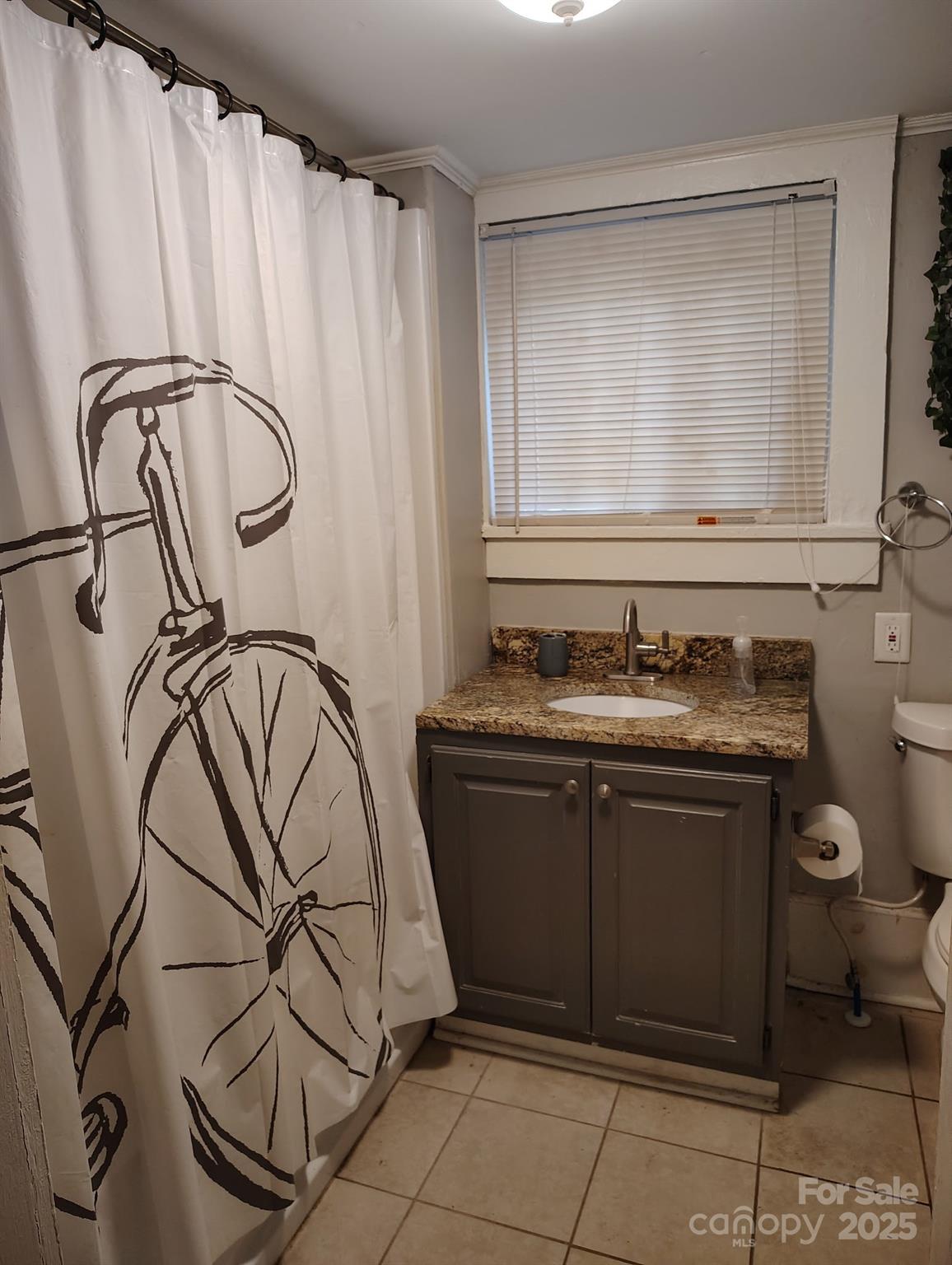 8504 Moores Chapel Road Charlotte, NC 28214 - Photo 10 of 14 a bathroom with a granite countertop sink and a mirror