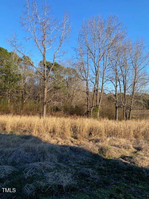 Lot 6 Bunnlevel Erwin Road Erwin, NC 28339 - Photo 2 of 21 2