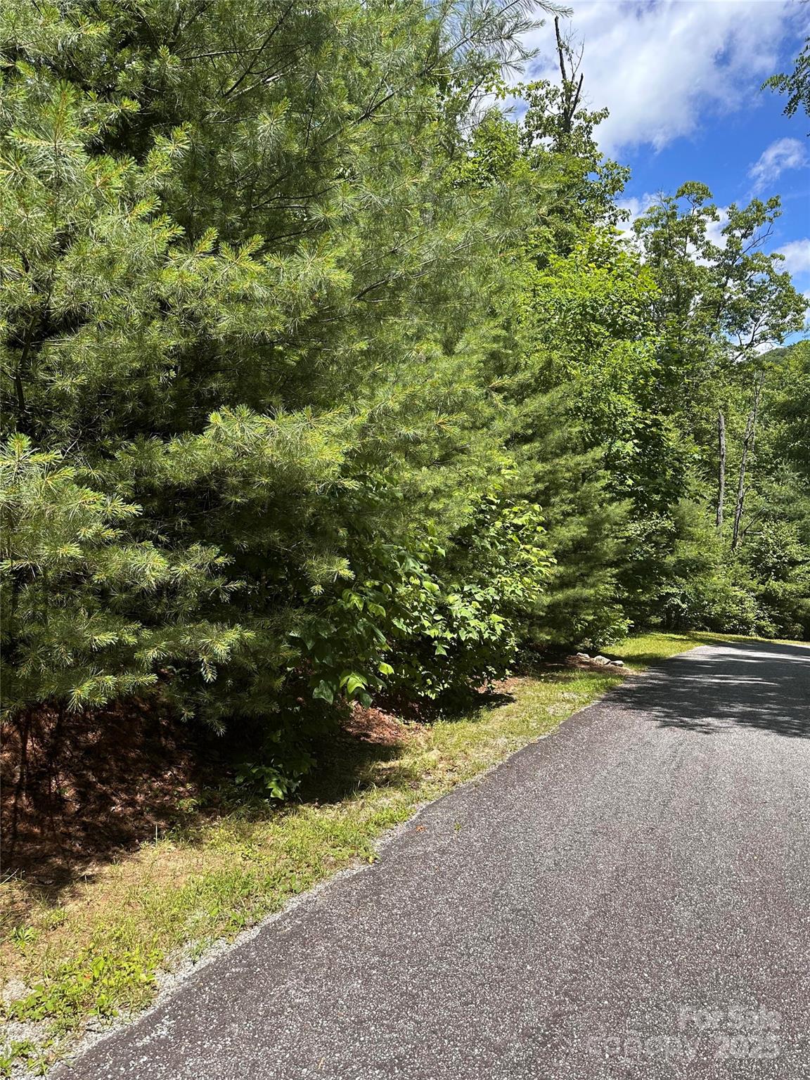 66 Boone Cove Road Zirconia, NC 28790 - Photo 4 of 15 a view of a garden with an outdoor space
