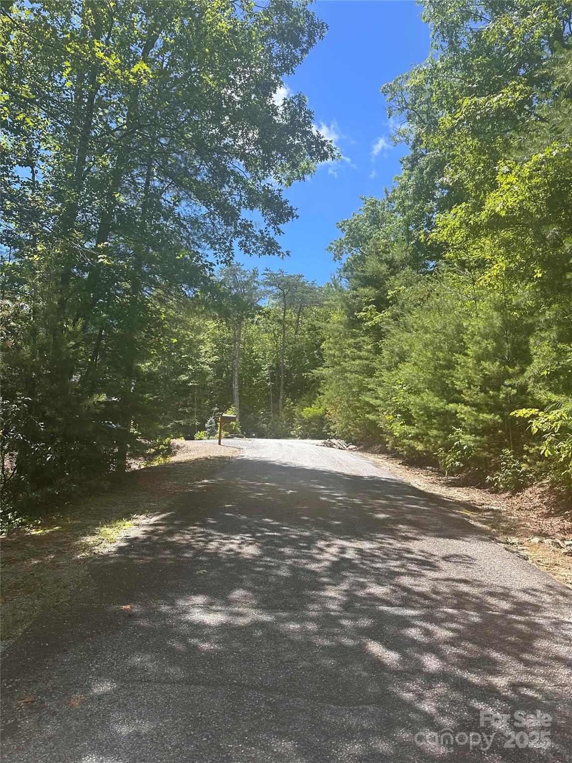 66 Boone Cove Road Zirconia, NC 28790 - Photo 5 of 15 a view of a yard with a tree