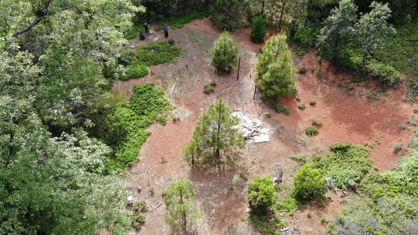 an aerial view of a yard with a lot of flower plants and wooden fence
