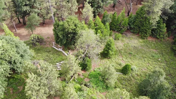 an aerial view of residential house with outdoor space and trees all around