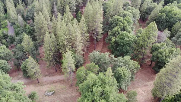 an aerial view of residential house with outdoor space and trees all around