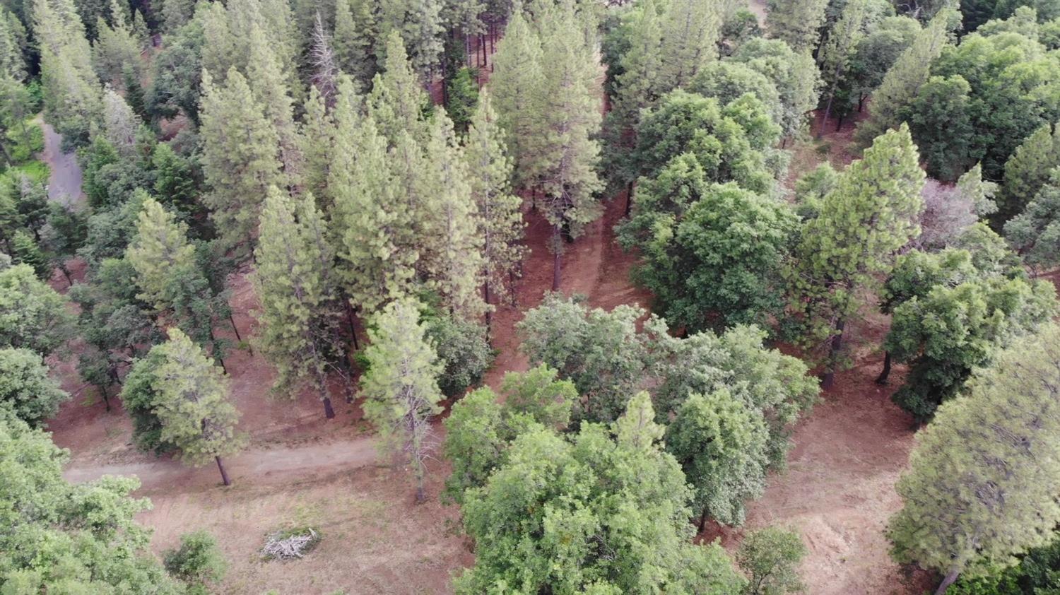 0 Slalom Lane Pollock Pines, CA 95726 - Photo 6 of 7 an aerial view of residential house with outdoor space and trees all around