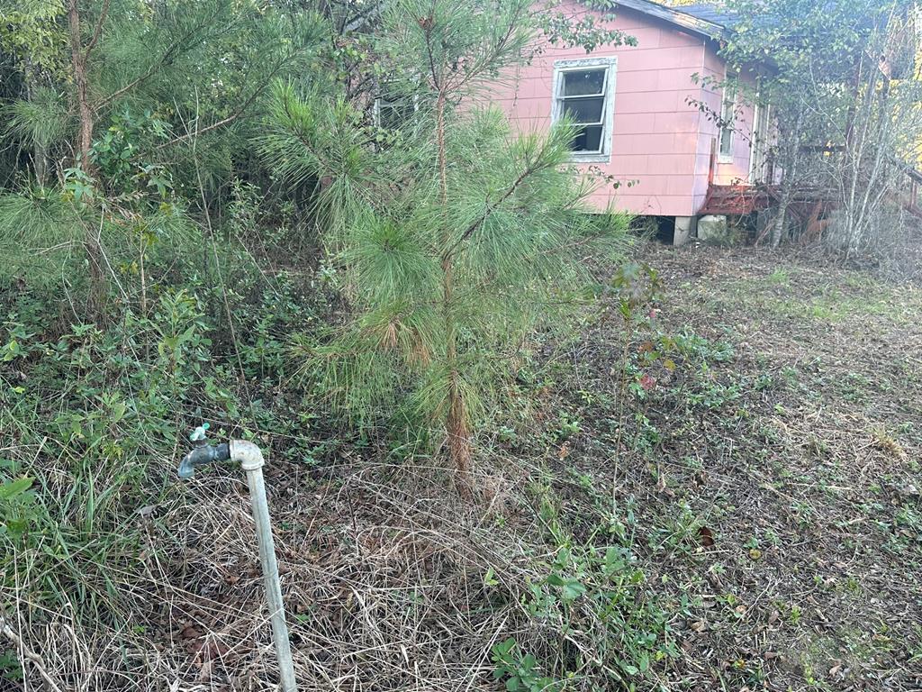 250 Adams Mill Road Clayton, AL 36016 - Photo 52 of 74