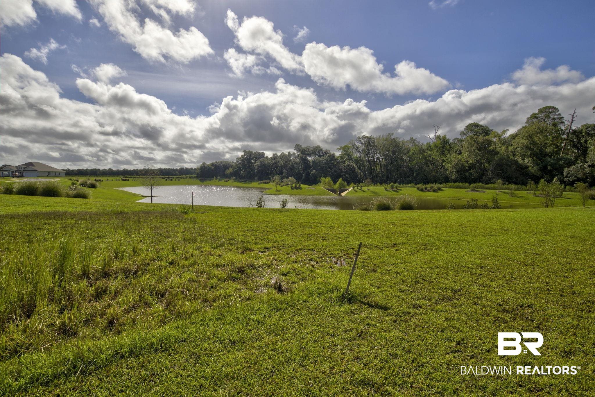 23810 Unbridled Loop Daphne, AL 36526 - Photo 38 of 50 View of yard with a water view and a rural view