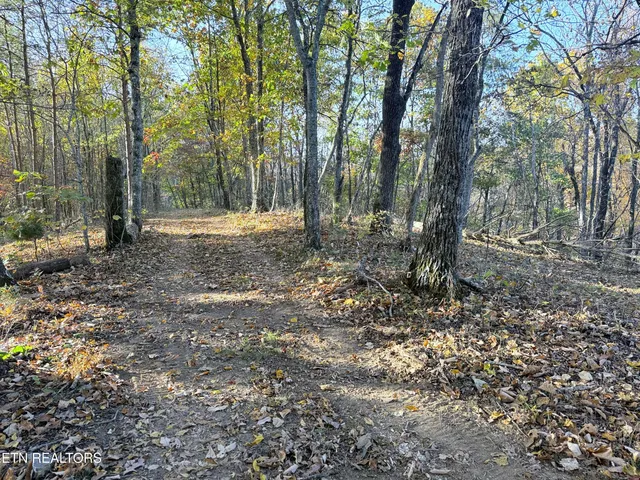 $90,000 | 6 Topaz Way, Parrottsville, TN 37843