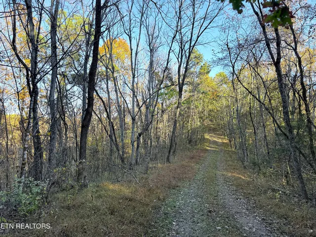 $90,000 | 6 Topaz Way, Parrottsville, TN 37843