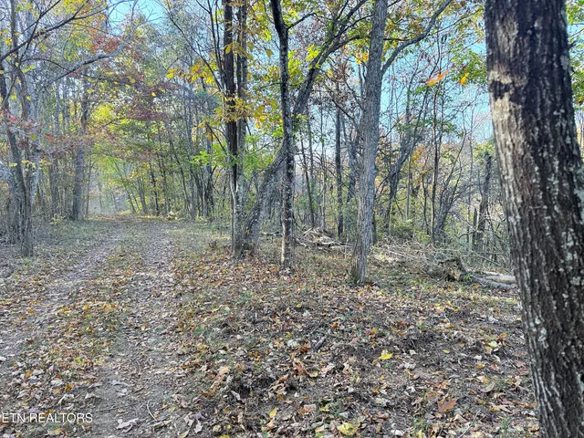 $90,000 | 6 Topaz Way, Parrottsville, TN 37843