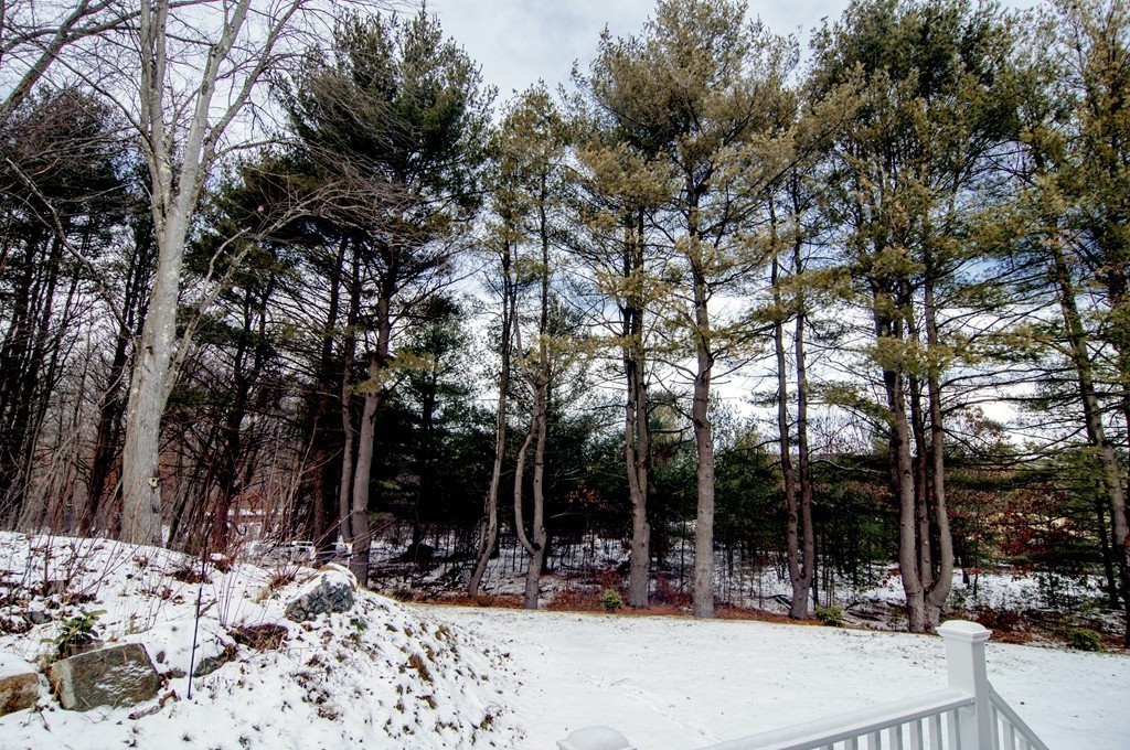 90 Cedarcrest Road Canton, MA 02021 - Photo 28 of 30 a view of outdoor space with trees