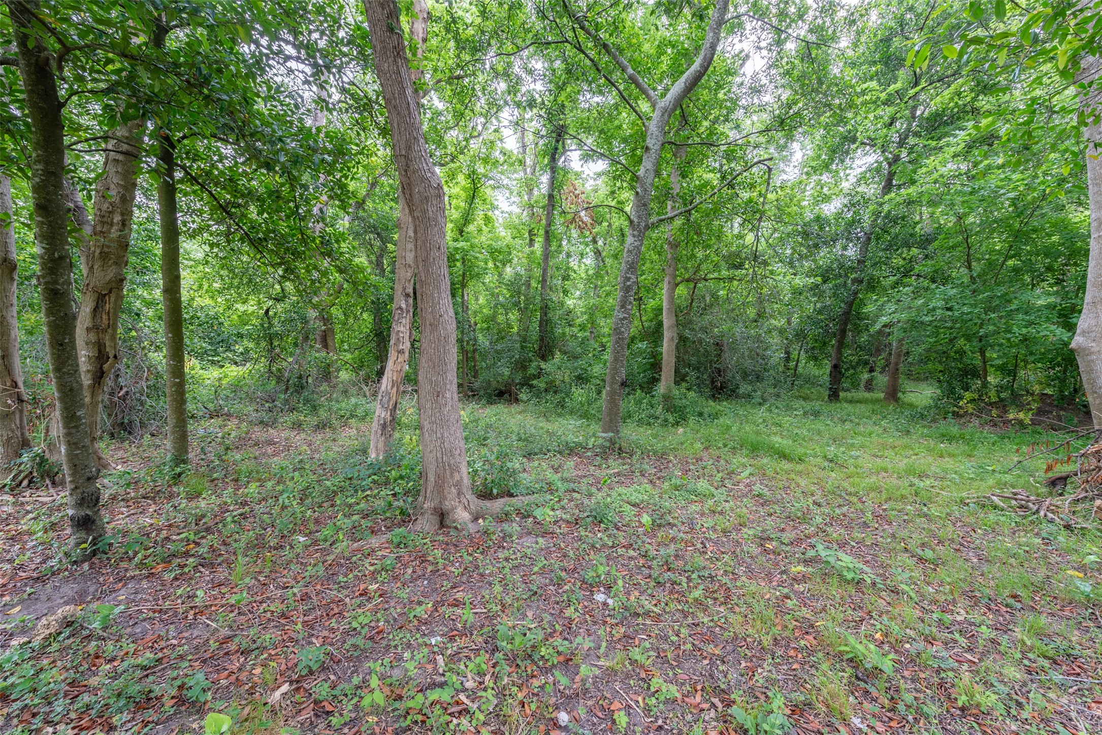 4102 Kinkaid Street Houston, TX 77093 - Photo 17 of 22