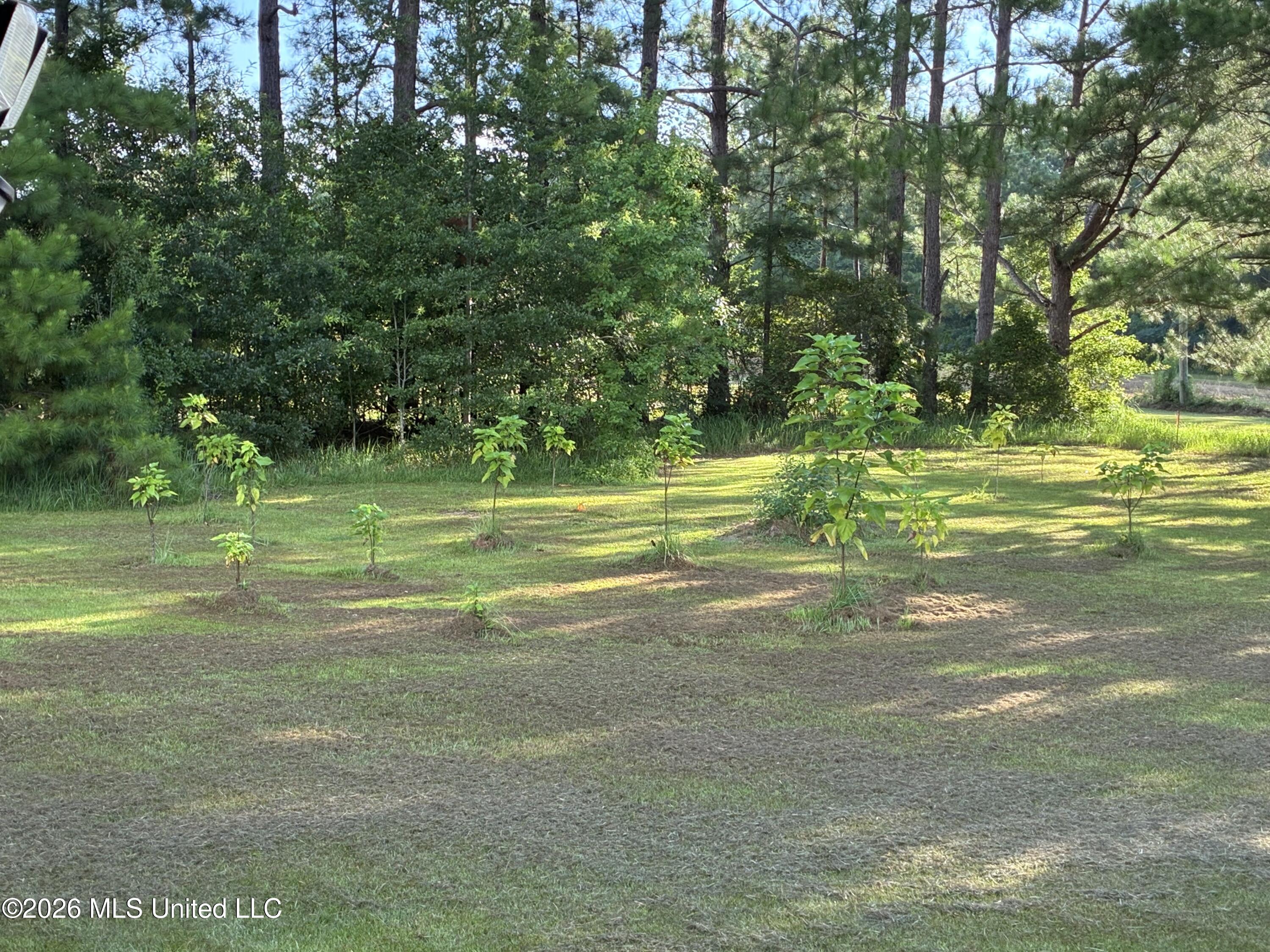6601 Skeeter Branch Road Lucedale, MS 39452 - Photo 7 of 21 IMG_0052