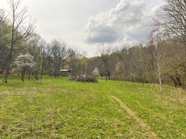 362 Band Of Hope Road Renick, WV 24966 - Photo 10 of 18 Gallery Image 10