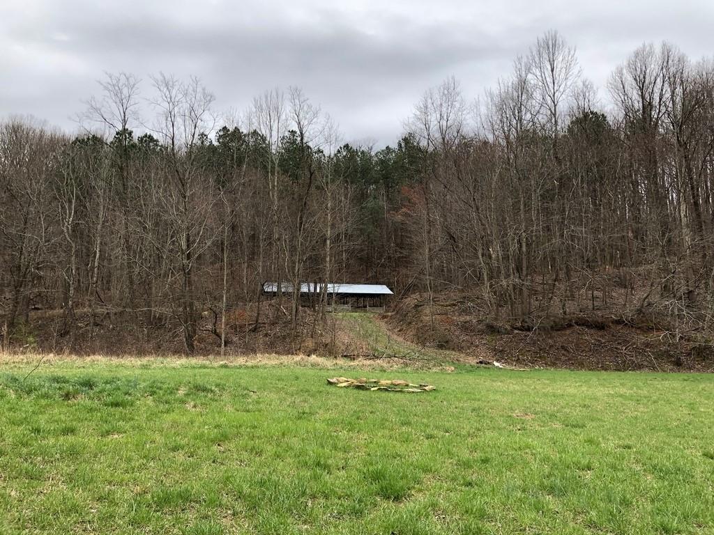 View of property from near the road looking into the property. Shed is on the property.