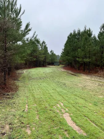 $773,036 | Buck Bay Buck Bay Private Road, Bronson, TX 75930