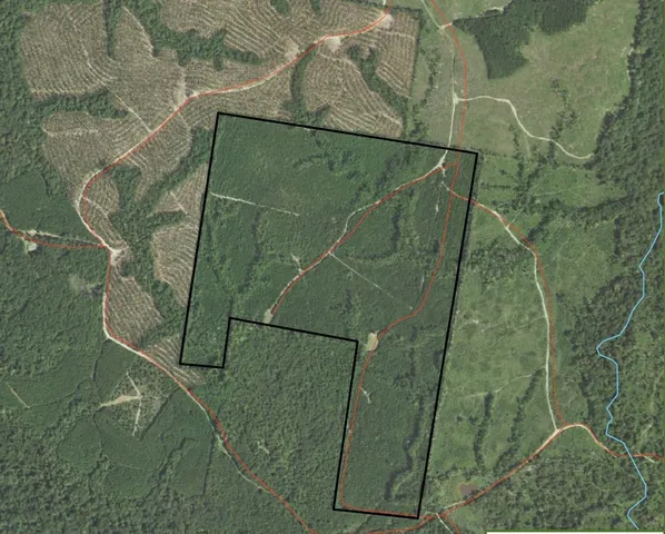 $773,036 | Buck Bay Buck Bay Private Road, Bronson, TX 75930