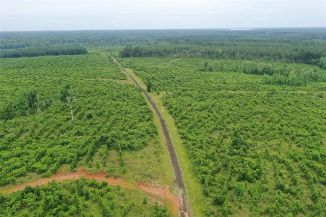 $773,036 | Buck Bay Buck Bay Private Road, Bronson, TX 75930