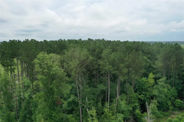 $773,036 | Buck Bay Buck Bay Private Road, Bronson, TX 75930