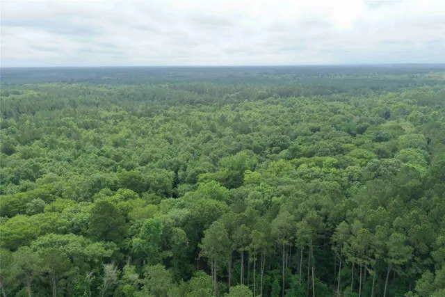 $773,036 | Buck Bay Buck Bay Private Road, Bronson, TX 75930