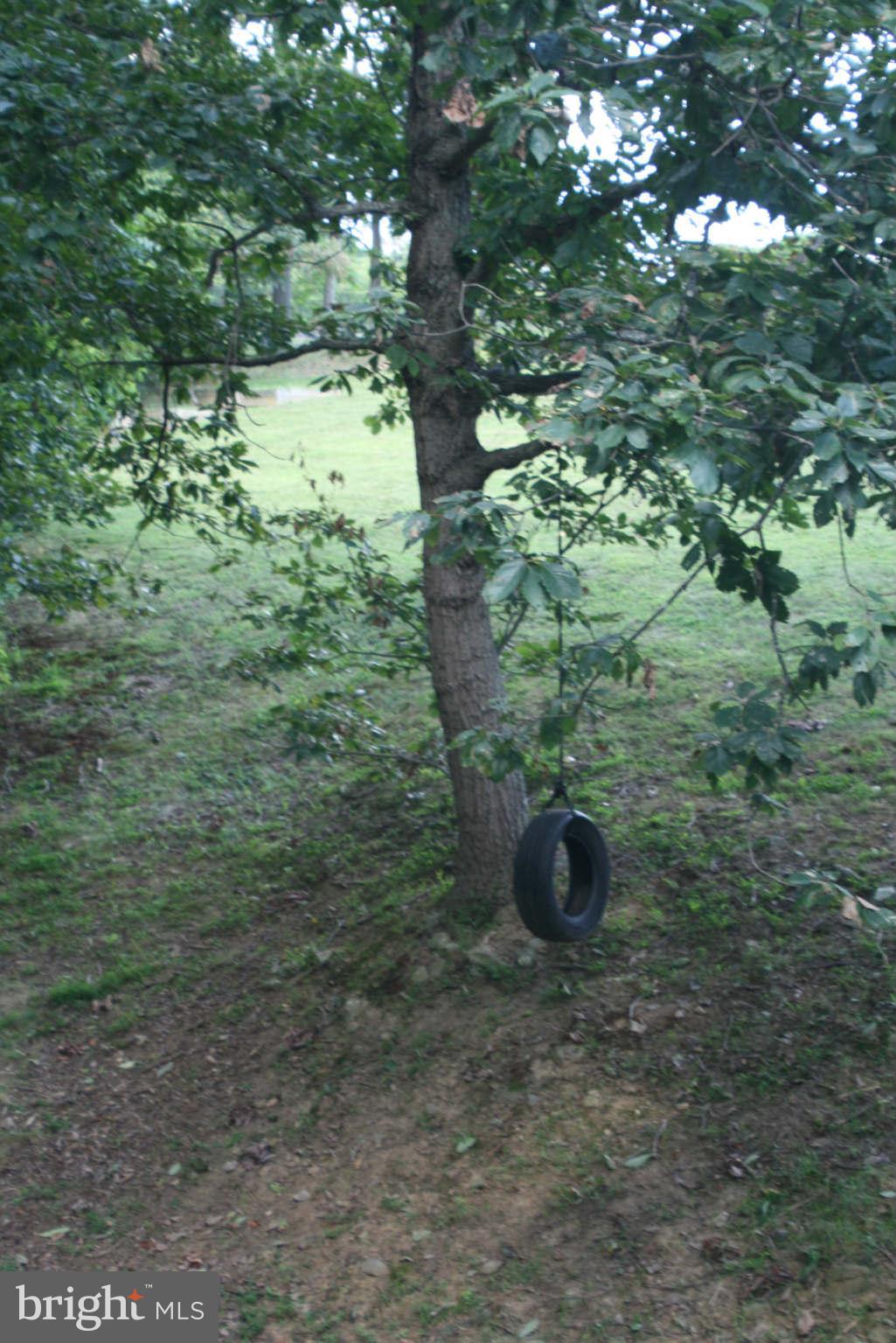 5900 Free State Road Marshall, VA 20115 - Photo 11 of 30 a view of a forest