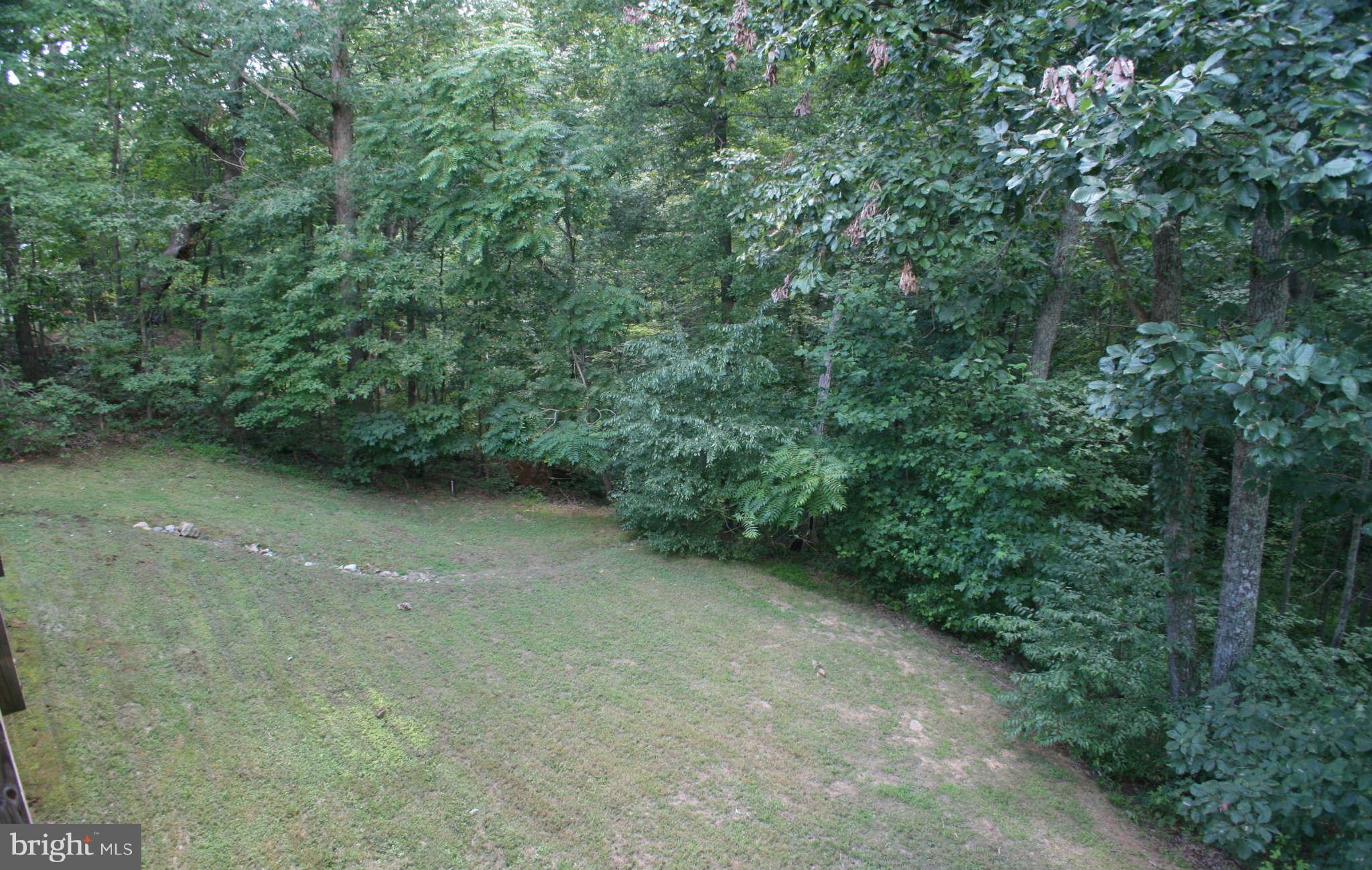 5900 Free State Road Marshall, VA 20115 - Photo 13 of 30 a view of a yard with a tree