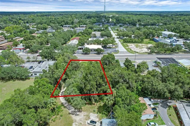 a view of a garden with a lot of trees