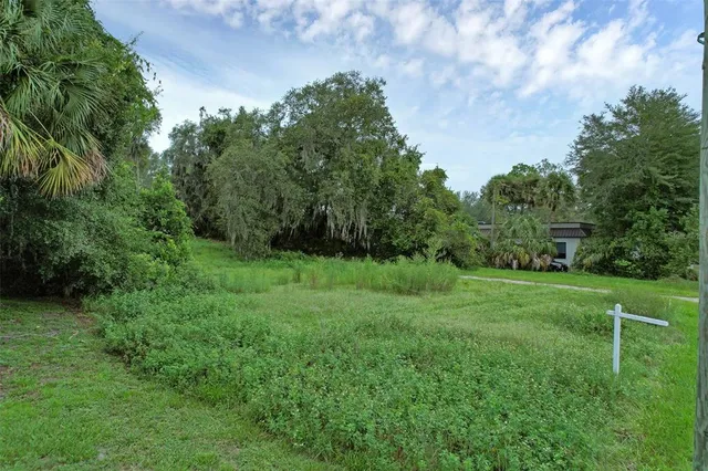 a view of a grassy field with trees in the background