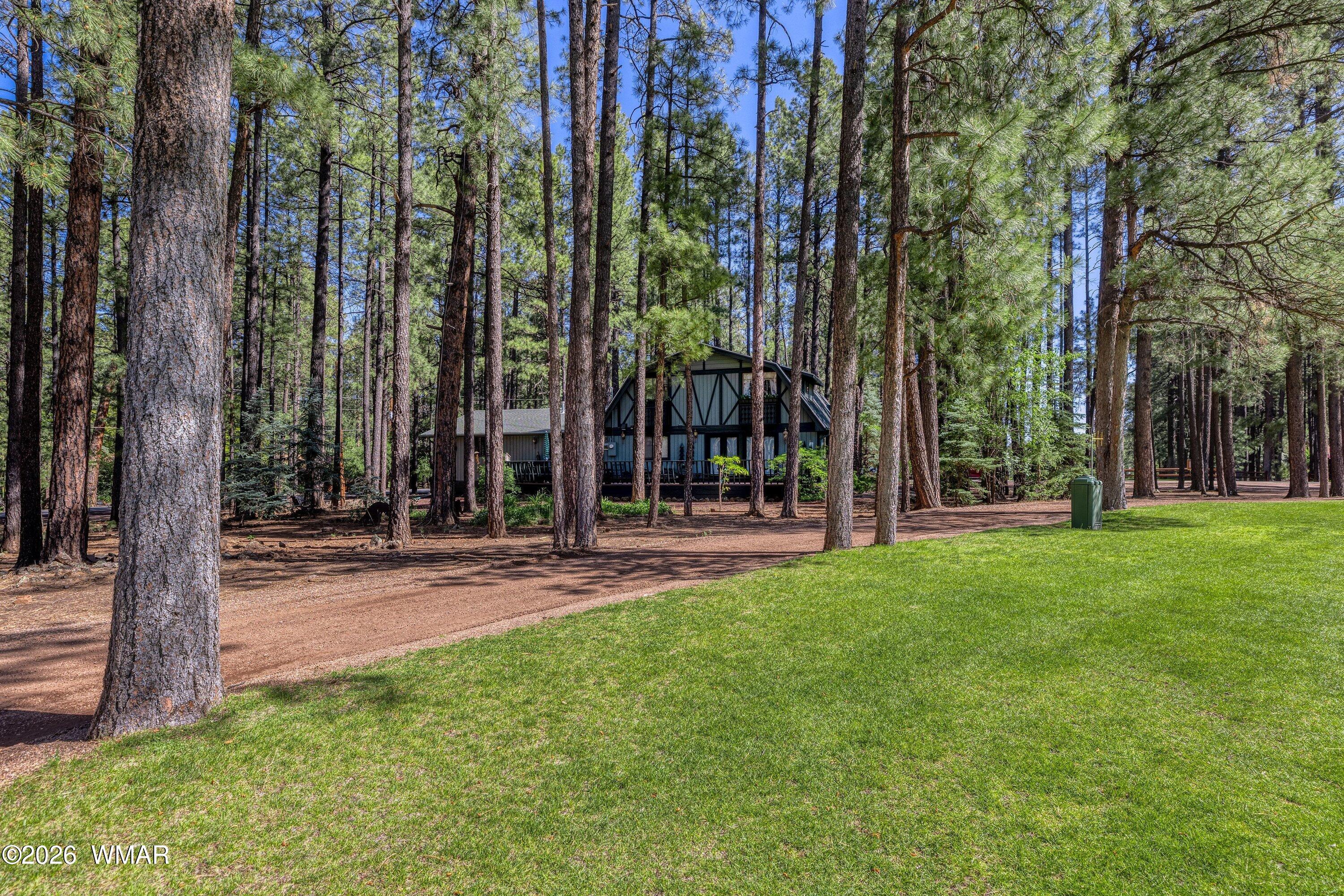 8085 Indian Bend Road Pinetop, AZ 85935 - Photo 41 of 44