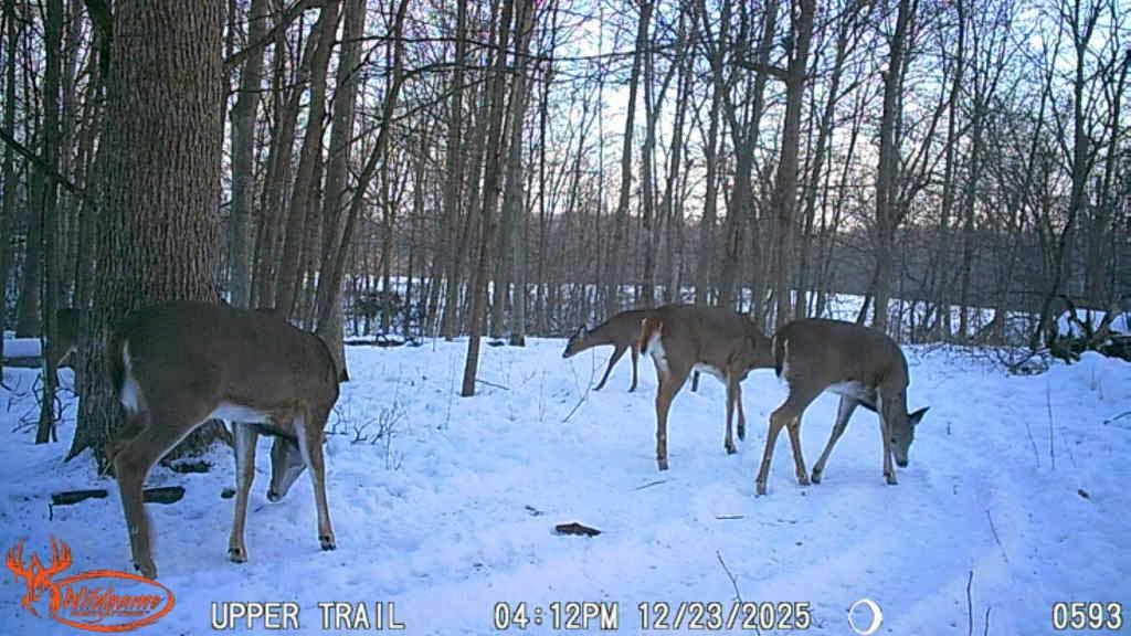 N7265 County Rd BB Spring Valley, WI 54767 - Photo 41 of 41