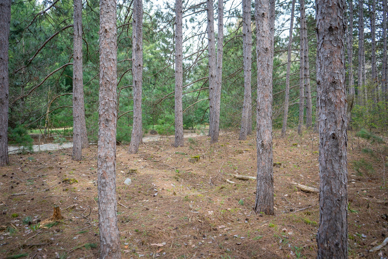 V/l Hudson Road South Boardman, MI 49680 - Photo 15 of 34