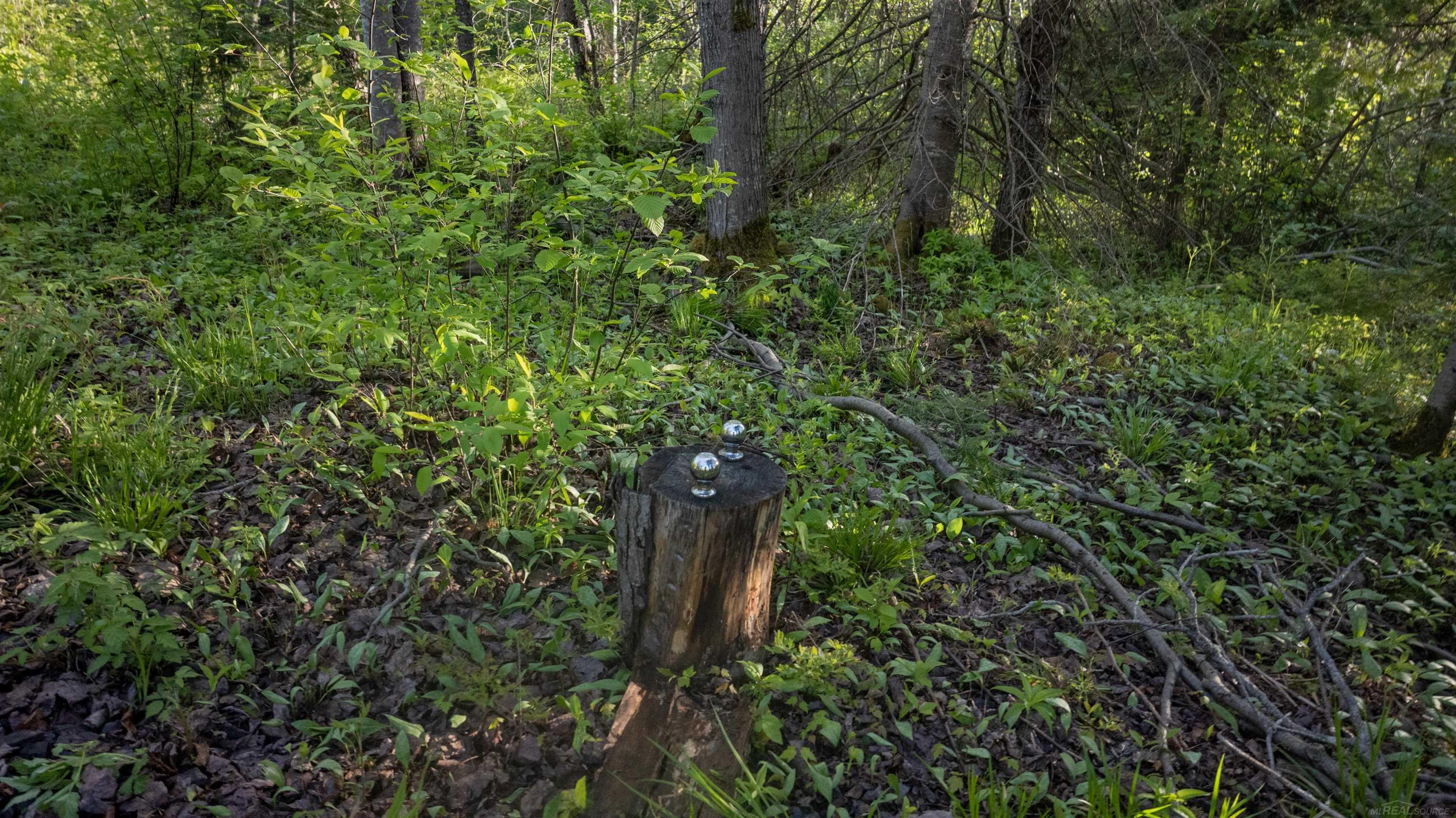 6161 West Harding Road Ironwood, MI 49938 - Photo 30 of 34 Gallery Image 30