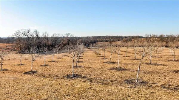 $3,500,000 | 426 C Highway, Spickard, MO 64679