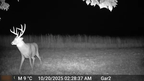 $3,500,000 | 426 C Highway, Spickard, MO 64679