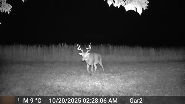 $3,500,000 | 426 C Highway, Spickard, MO 64679