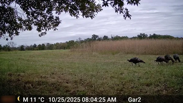 $3,500,000 | 426 C Highway, Spickard, MO 64679