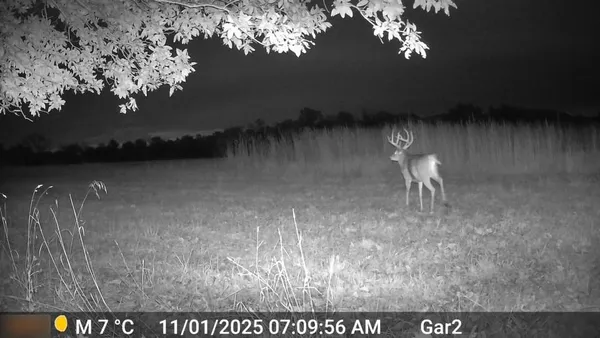 $3,500,000 | 426 C Highway, Spickard, MO 64679