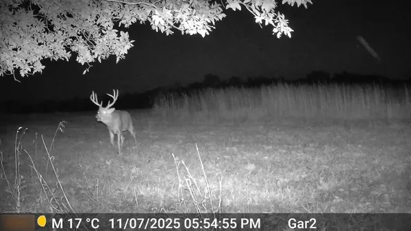 $3,500,000 | 426 C Highway, Spickard, MO 64679